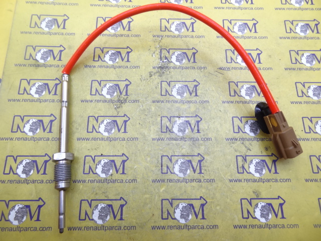 226405227r-isi-kaptoru-maiss